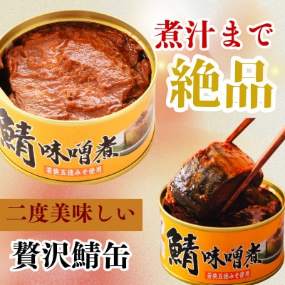 鯖味噌煮缶詰　 24缶セット(180g×24)