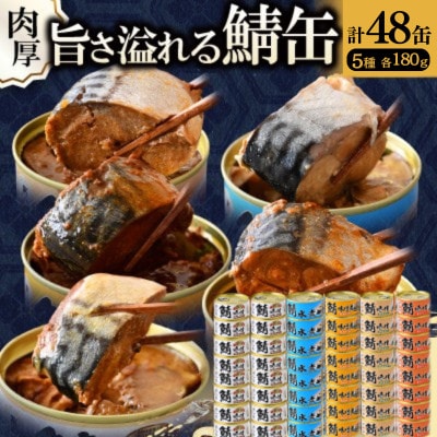 鯖缶詰48缶A(醤油・唐辛子・生姜・味噌煮・水煮) こだわりも身もギュッと詰め込んださば缶