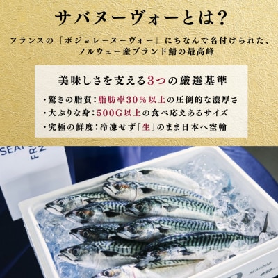 【プレミアム】幻の味をもう一度。福井缶詰工場直送「復刻 さば缶詰　水煮・唐辛子入」4缶(2種)セット