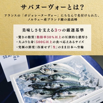 【プレミアム】幻の味をもう一度。福井缶詰工場直送「復刻 さば缶詰　味付唐辛子入り」贅沢2缶セット