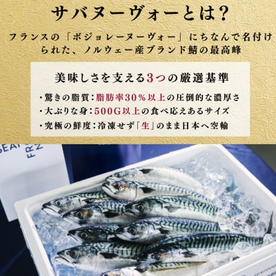 【プレミアム】幻の味をもう一度。福井缶詰工場直送「復刻 さば缶詰　水煮」贅沢2缶セット