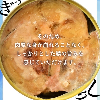 鯖缶詰24缶詰め合わせ A