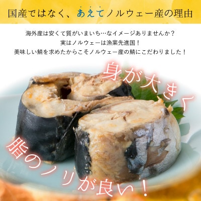 鯖缶詰24缶詰め合わせ C