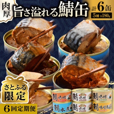 【2ヵ月毎定期便】【さとふる限定】鯖缶詰6缶詰め合わせ A全6回