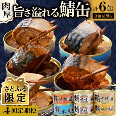 【3ヵ月毎定期便】【さとふる限定】鯖缶詰6缶詰め合わせ A全4回