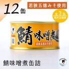 【2ヵ月毎定期便】鯖味噌煮缶詰　12缶セット(180g×12) お手軽簡単に食べれる贅沢サバ缶全3回