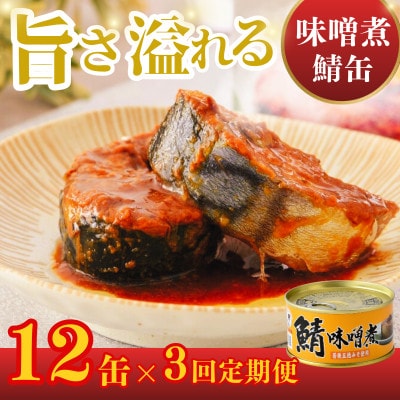 【2ヵ月毎定期便】鯖缶詰 味噌煮12缶セット(180g×12) お手軽簡単に食べれる贅沢さば缶全3回