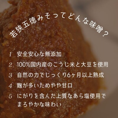 【2ヵ月毎定期便】鯖味噌煮缶詰　12缶セット(180g×12) お手軽簡単に食べれる贅沢サバ缶全3回
