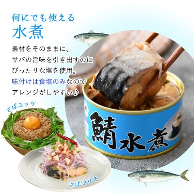 【2ヵ月毎定期便】鯖水煮缶詰　12缶セット(180g×12缶)こだわりも身もギュッと詰めました全6回