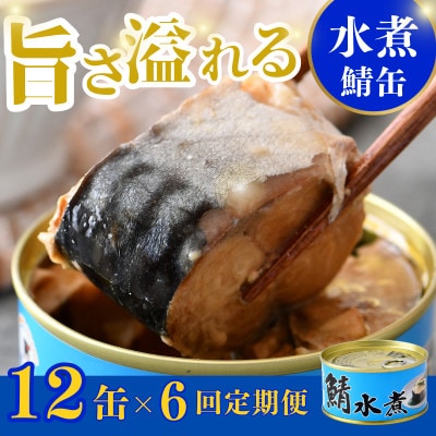 【毎月定期便】鯖缶詰 水煮12缶(180g×12)こだわりも身もギュッと詰めた贅沢さば缶。全6回