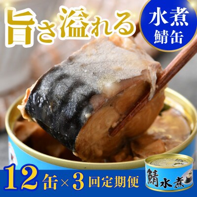 【2ヵ月毎定期便】鯖水煮缶詰　12缶セット(180g×12缶)こだわりも身もギュッと詰めました全3回