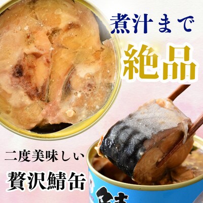 【2ヵ月毎定期便】鯖水煮缶詰　12缶セット(180g×12缶)こだわりも身もギュッと詰めました全3回