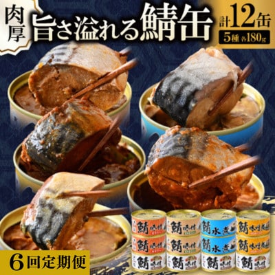 【毎月定期便】鯖缶詰12缶詰め合わせA(本醸造醤油仕立て・唐辛子入・生姜入・噌煮・水煮)全6回