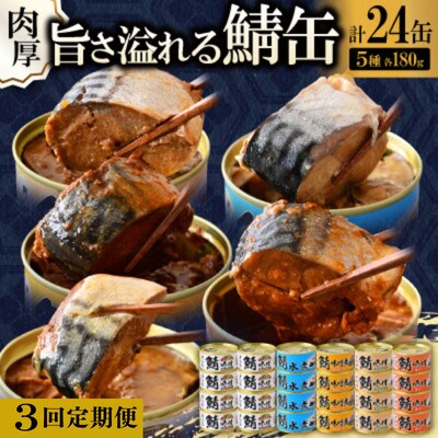 【3ヵ月毎定期便】鯖缶詰24缶詰め合わせ A(本醸造醤油仕立て・唐辛子入・生姜入・噌煮・水煮)全3回