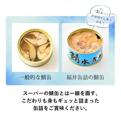 【3ヵ月毎定期便】鯖缶詰24缶詰め合わせ A(本醸造醤油仕立て・唐辛子入・生姜入・噌煮・水煮)全4回