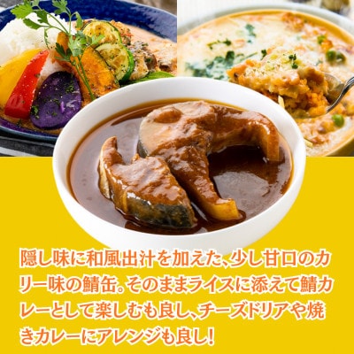 サバ缶　サバスチャン カリー味 4缶セット