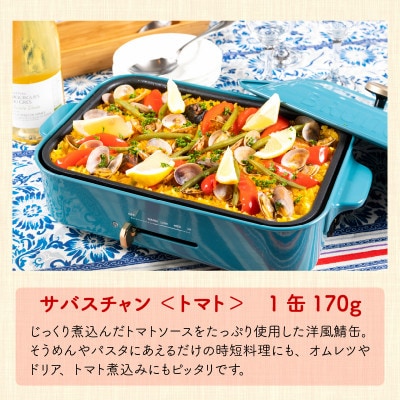 【2ヵ月毎定期便】 福井県小浜市　サバ缶　サバスチャン4缶セット 全6回