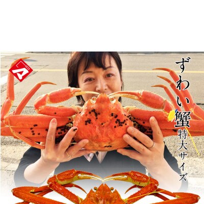 若狭小浜の日帰り漁の越前蟹(1キロ超え)