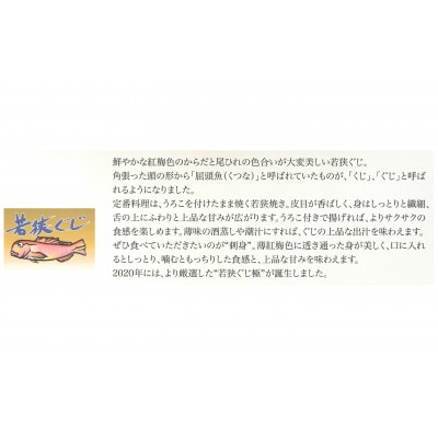熟成しておいしく熟成したときに瞬間凍結。天下に轟く若狭ぐじの甘さを抑えた味噌漬(西京漬)
