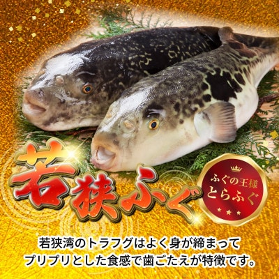 若狭ふぐ特選セット(4人前)・冷蔵