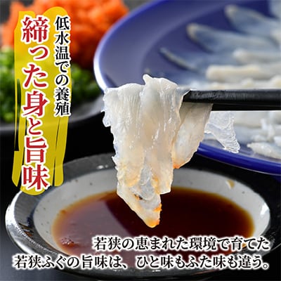 鮮度抜群・冷蔵でお届け! 若狭ふぐ刺しセット(2人前)