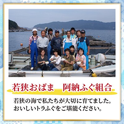 冷凍でお届け! 若狭ふぐ鍋セット冷凍(4人前)