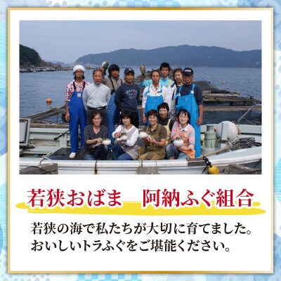 【3月上旬以降順次発送】若狭ふぐ鍋セット冷凍(4人前)