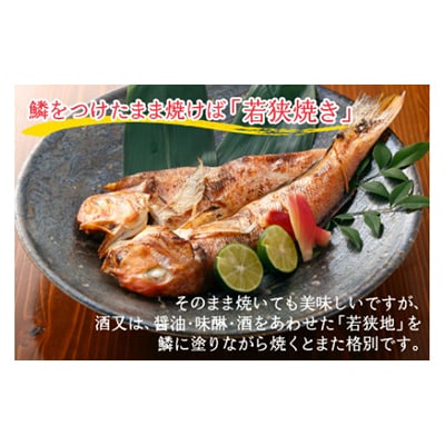 若狭のぐじ一汐