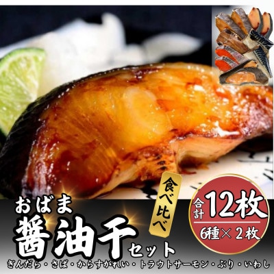おばま醤油干　12枚(6種×各2枚)真空パック個包装で若狭小浜の干物の詰め合わせをお届け