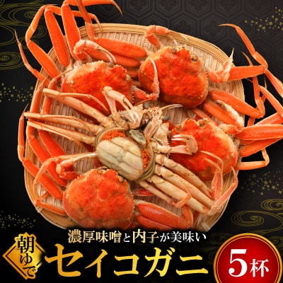 朝ゆでセイコガニ5ハイ
