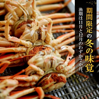 朝ゆでセイコガニ5ハイ