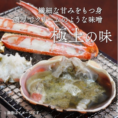 朝ゆで越前ガニ1杯【約800g】
