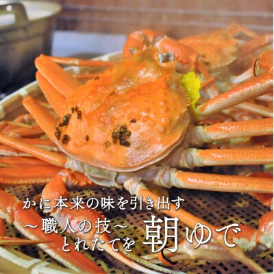 【先行受付】【2月上旬から順次発送】朝ゆで越前ガニ1杯【約800g】