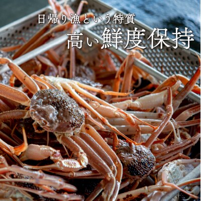 【先行受付】【2月上旬から順次発送】朝ゆで越前ガニ1杯【約800g】