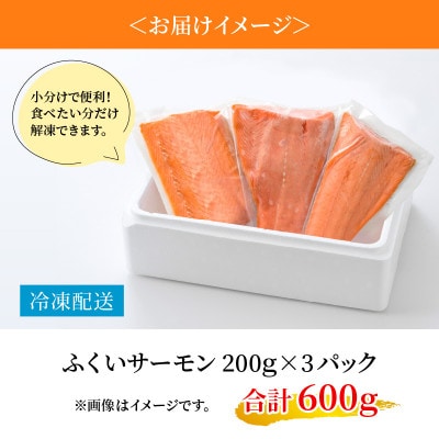 きれいな低水温の海で育った【ふくいサーモン】200g×3(合計600g)