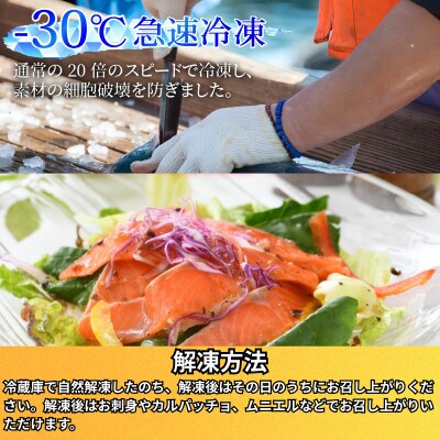きれいな低水温の海で育った【ふくいサーモン】200g×4(合計800g)