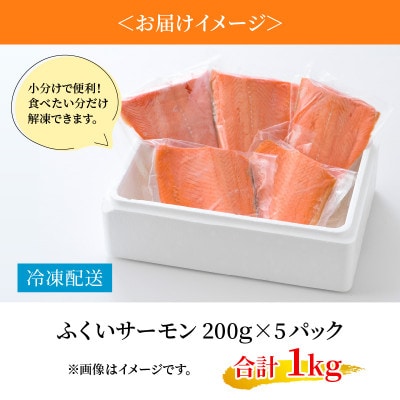 きれいな低水温の海で育った【ふくいサーモン】200g×5(合計1kg)