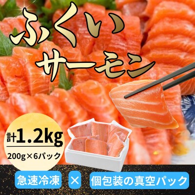 きれいな低水温の海で育った【ふくいサーモン】200g×6(合計1.2kg)