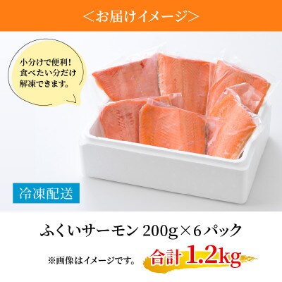 きれいな低水温の海で育った【ふくいサーモン】200g×6(合計1.2kg)