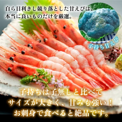 レビューキャンペーン実施中!　とろける甘さ　ぷりぷり食感! 子持ち甘えび　500g(約30尾)×2箱