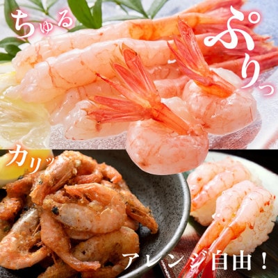 とろける甘さ　ぷりぷり食感!　子持ち甘えび　500g(約40尾)×1箱