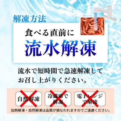 レビューキャンペーン中!とろける甘さ　ぷりぷり食感!　日本海甘えび　500g(約50尾)×1箱