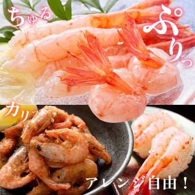 とろける甘さ　ぷりぷり食感!　日本海甘えび　500g(約50尾)×2箱