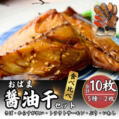 おばま醤油干　10枚(5種×各2枚)真空パック個包装で若狭小浜の干物の詰め合わせをお届け