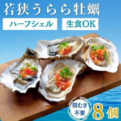 【生食可】若狭うららかき ハーフシェル 8個(冷凍)