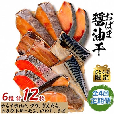 【3ヵ月毎定期便】 【さとふる限定】おばま醤油干全4回