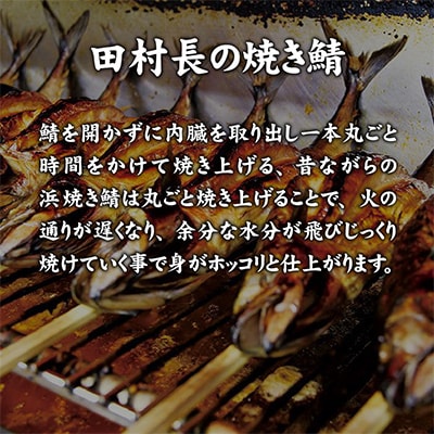 田村長の焼き鯖セット　2本