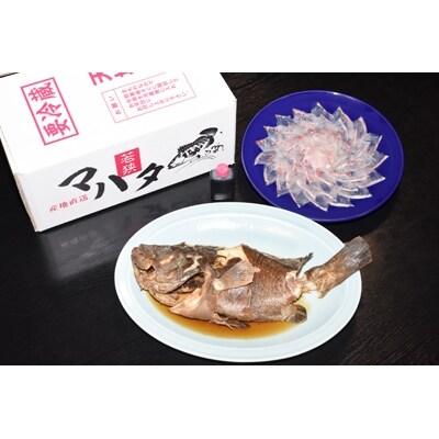 【2月上旬以降順次発送】マハタの刺身と煮付けのセット