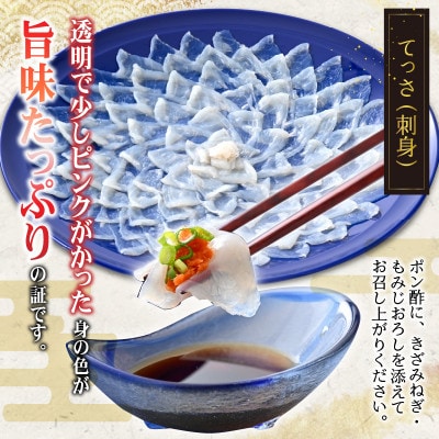 若狭ふぐ　てっさ　(8人前)