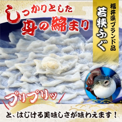 若狭ふぐ　てっさ　(8人前)